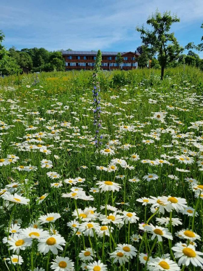 Steig Otel Bad Marienberg Dış mekan fotoğraf